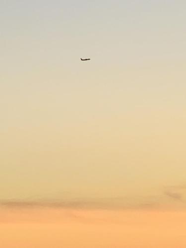 Img_2982